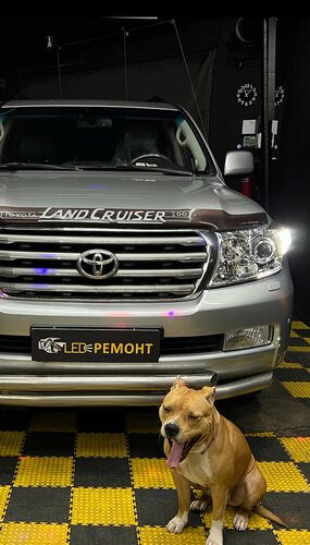 Фары Toyota Land Cruiser